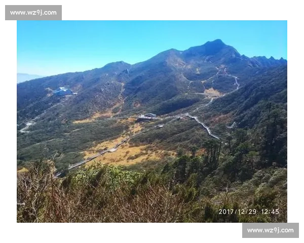 竞技与奥林匹奥强强对话揭示南美赛场格局与战术博弈全景走势分析展望